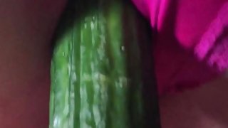 BBW slut pet-cucumber with fuchsia panties still on 3